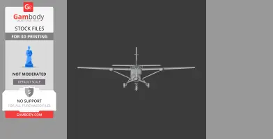 Cessna 208 Caravan Plane