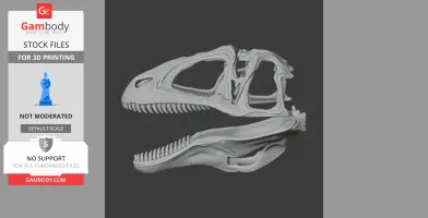 Acanthodes Skull