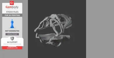 Acanthodes Skull