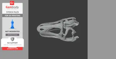 Acanthodes Skull