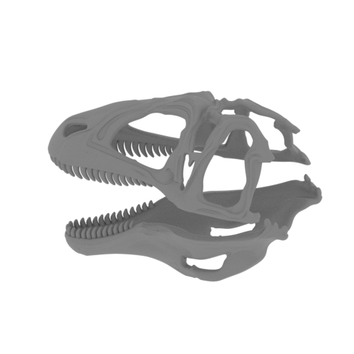 Acanthodes Skull.stl