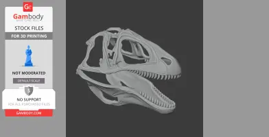Acanthodes Skull