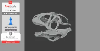 Acanthodes Skull