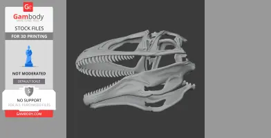 Acanthodes Skull
