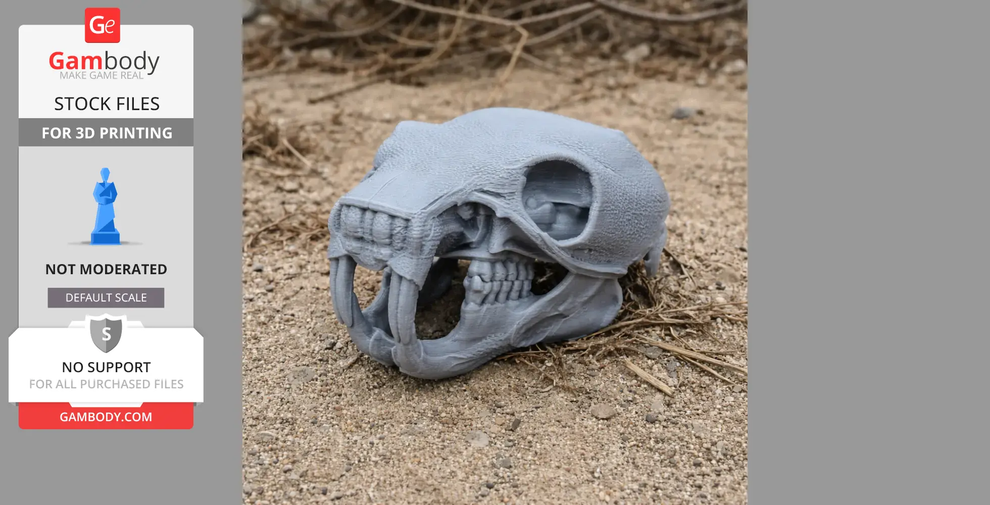 3D-printed African Crested Rat skull model placed on sandy ground.