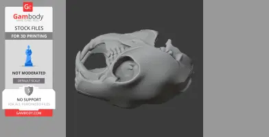 African Crested Rat Skull