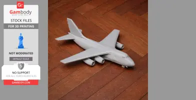 Antonov An-12 Plane