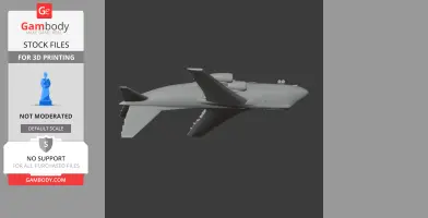 Antonov An-12 Plane