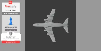 Antonov An-12 Plane