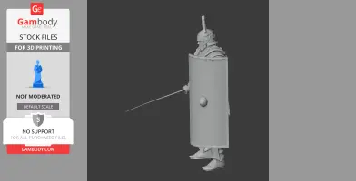 Agrippa Roman Legionary