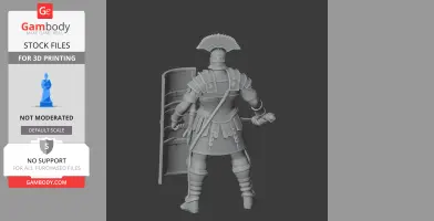 Agrippa Roman Legionary