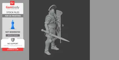 Agrippa Roman Legionary