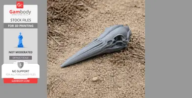 American Bittern Skull
