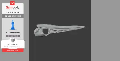American Bittern Skull