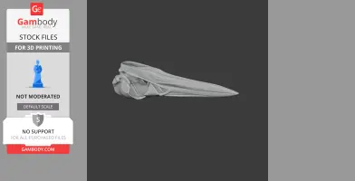 American Bittern Skull