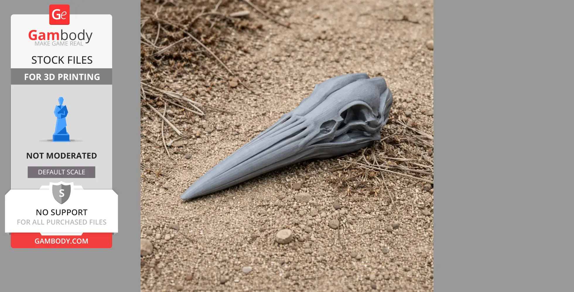 3D-printed American Bittern skull model on a gravel surface.