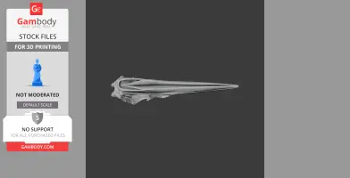 American Bittern Skull