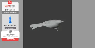 Babbler Bird