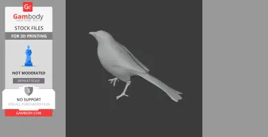 Babbler Bird