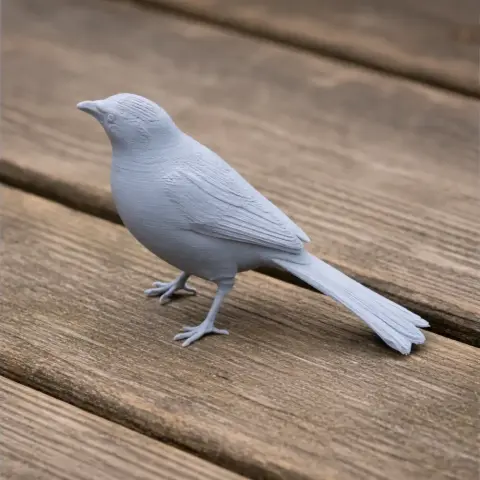 Babbler Bird