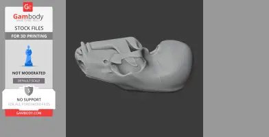 American Black Bear Skull