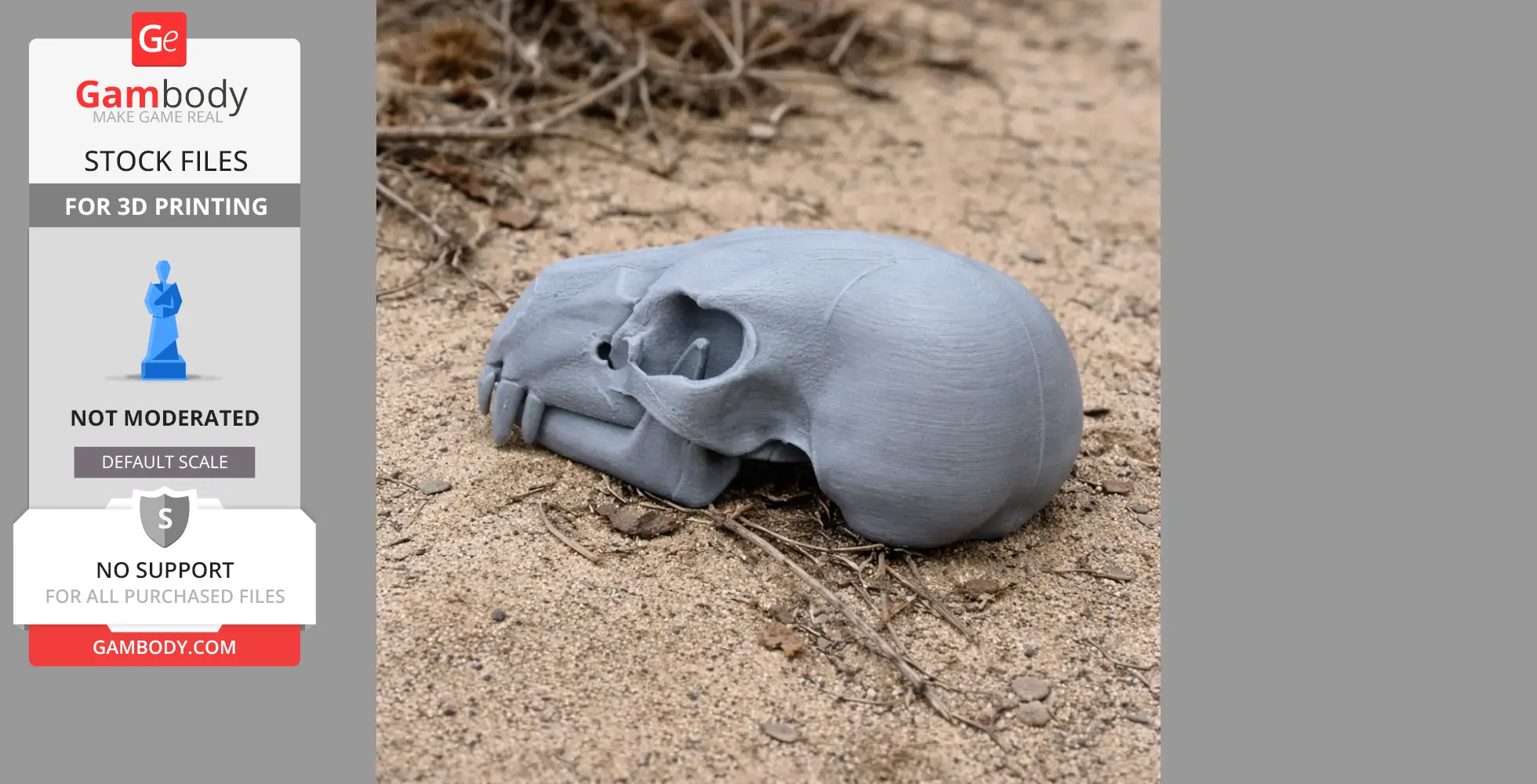 Gray 3D-printed American Black Bear skull model on sandy ground.