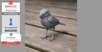 Chat Bird