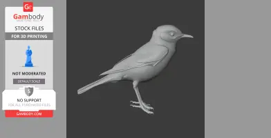 Chat Bird