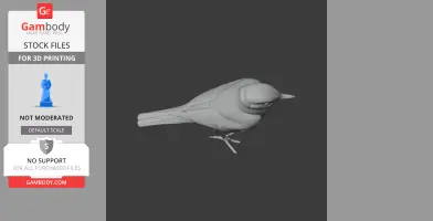 Chat Bird
