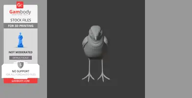 Chat Bird