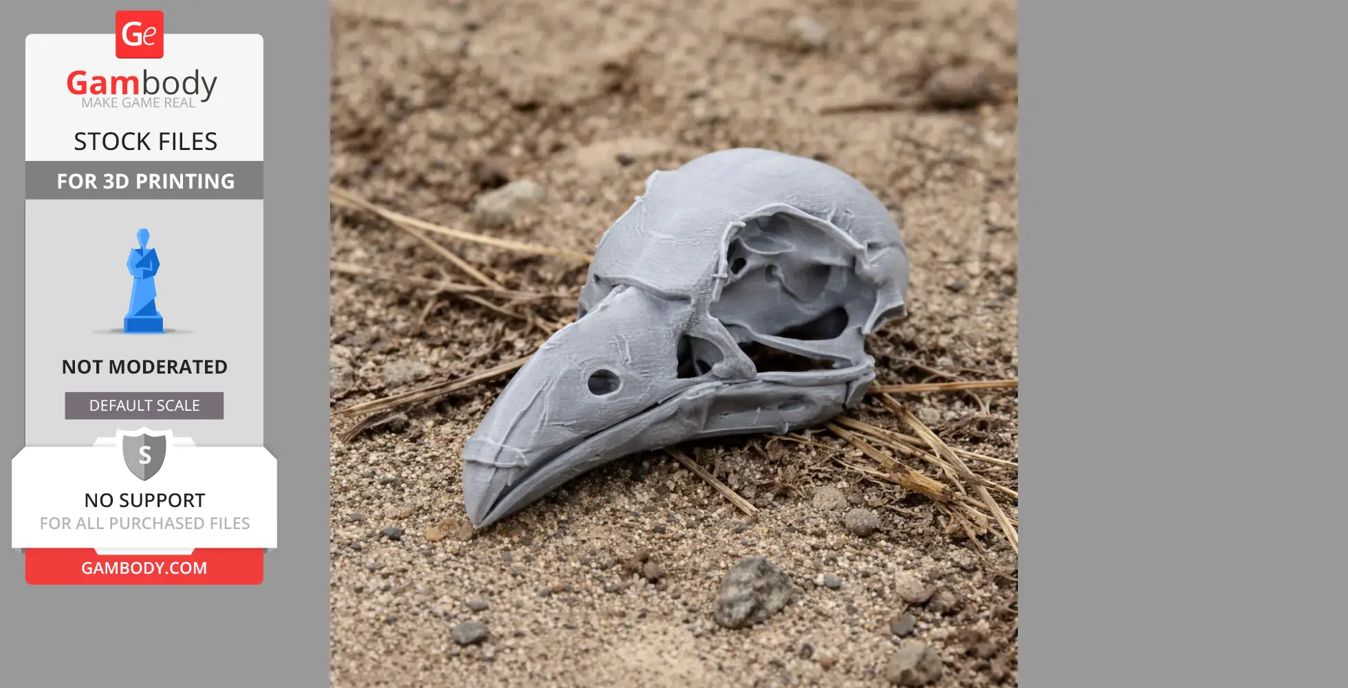 A 3D-printed Andean Cock-of-the-rock skull on a sandy surface.