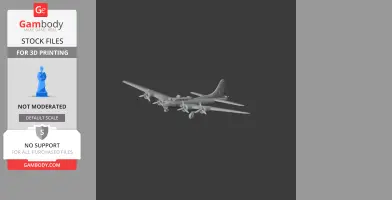 B-17 Flying Fortress Plane