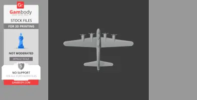 B-17 Flying Fortress Plane