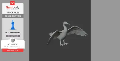 Cormorant