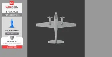 Beechcraft Baron Plane