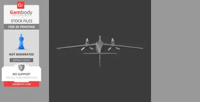 Beechcraft Baron Plane