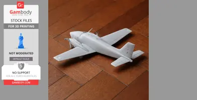 Beechcraft Baron Plane
