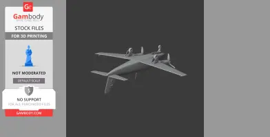 Beechcraft Baron Plane