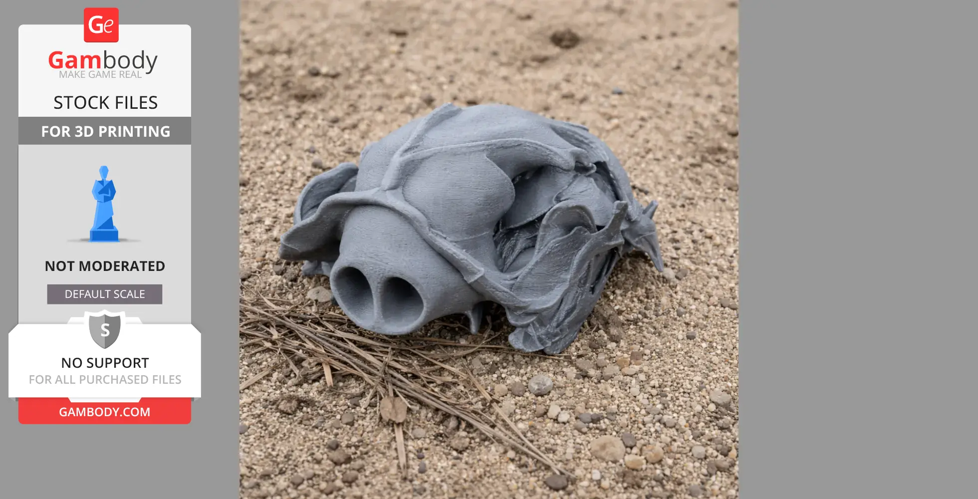 A 3D printed Asiatic black bear skull model on sandy ground.