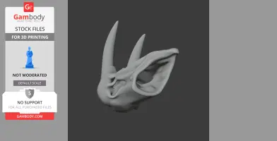 Atlantic Walrus Skull