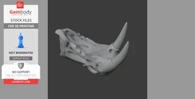 Atlantic Walrus Skull