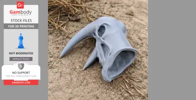 Atlantic Walrus Skull