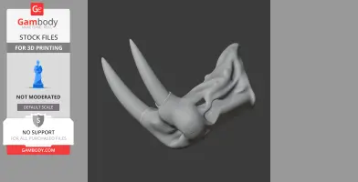 Atlantic Walrus Skull
