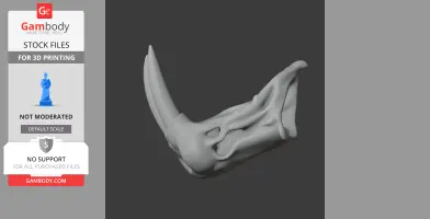 Atlantic Walrus Skull