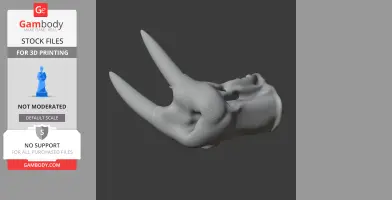 Atlantic Walrus Skull