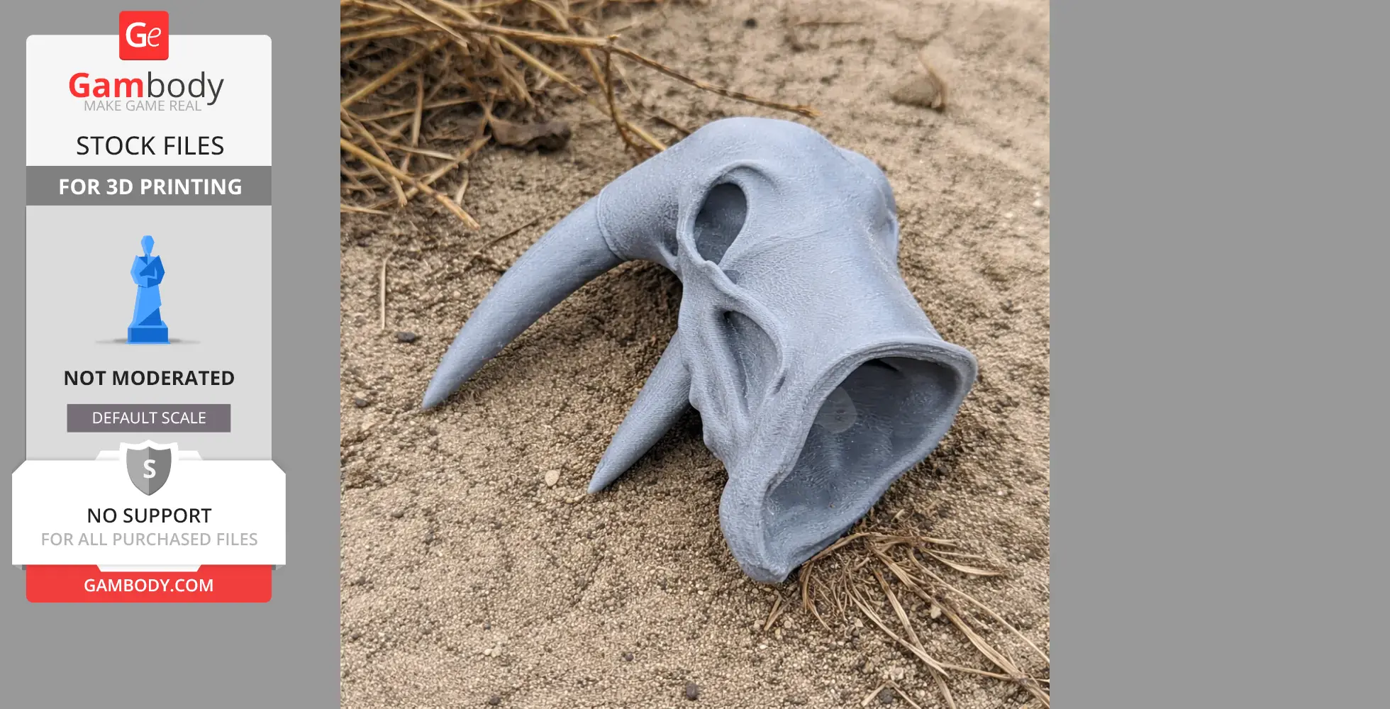 3D printed Atlantic walrus skull with tusks, displayed on sandy ground.