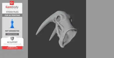 Atlantic Walrus Skull