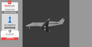 Cessna Citation Plane