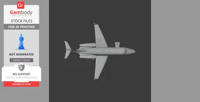 Cessna Citation Plane