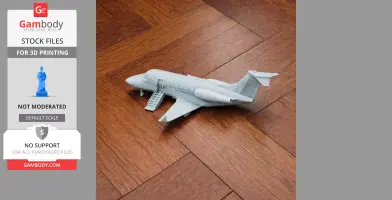 Cessna Citation Plane